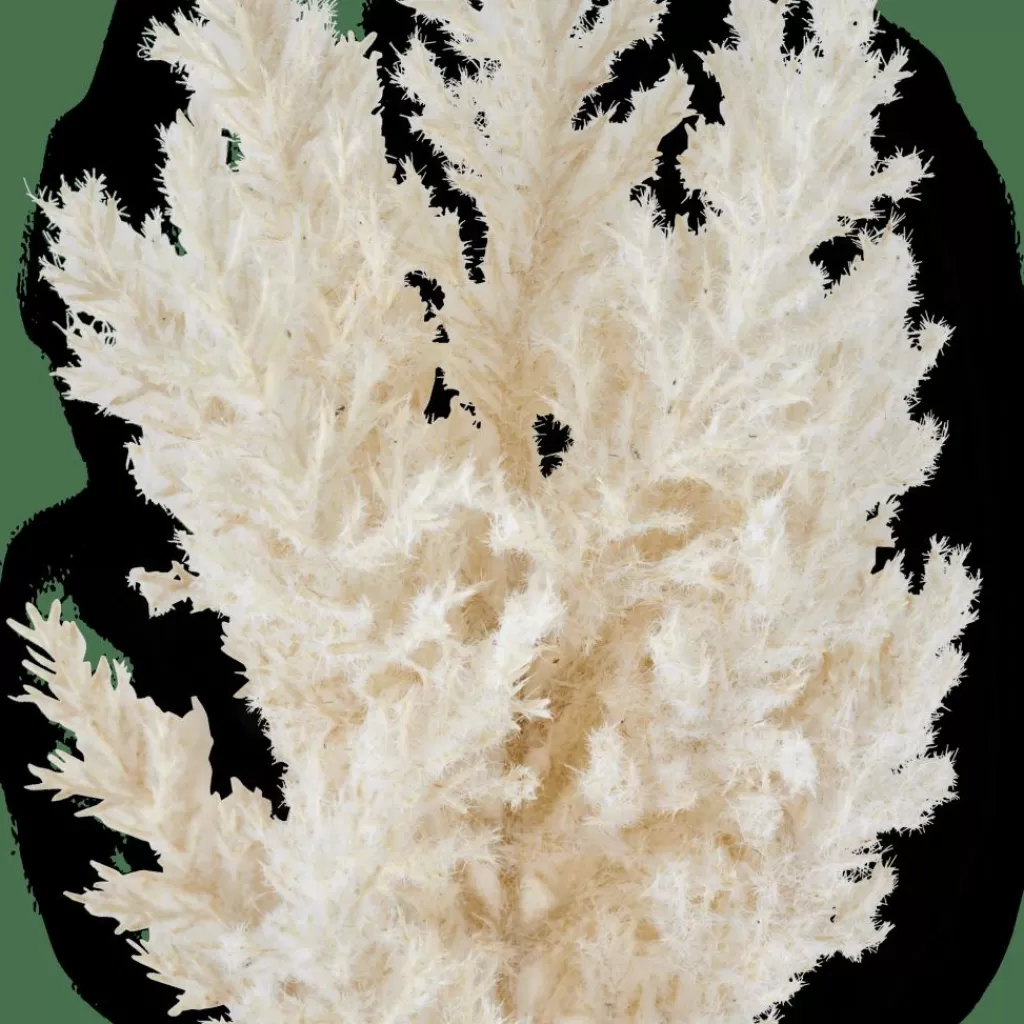 Fashion PLUME Tallo Blanco Apagado Ramos Artificiales