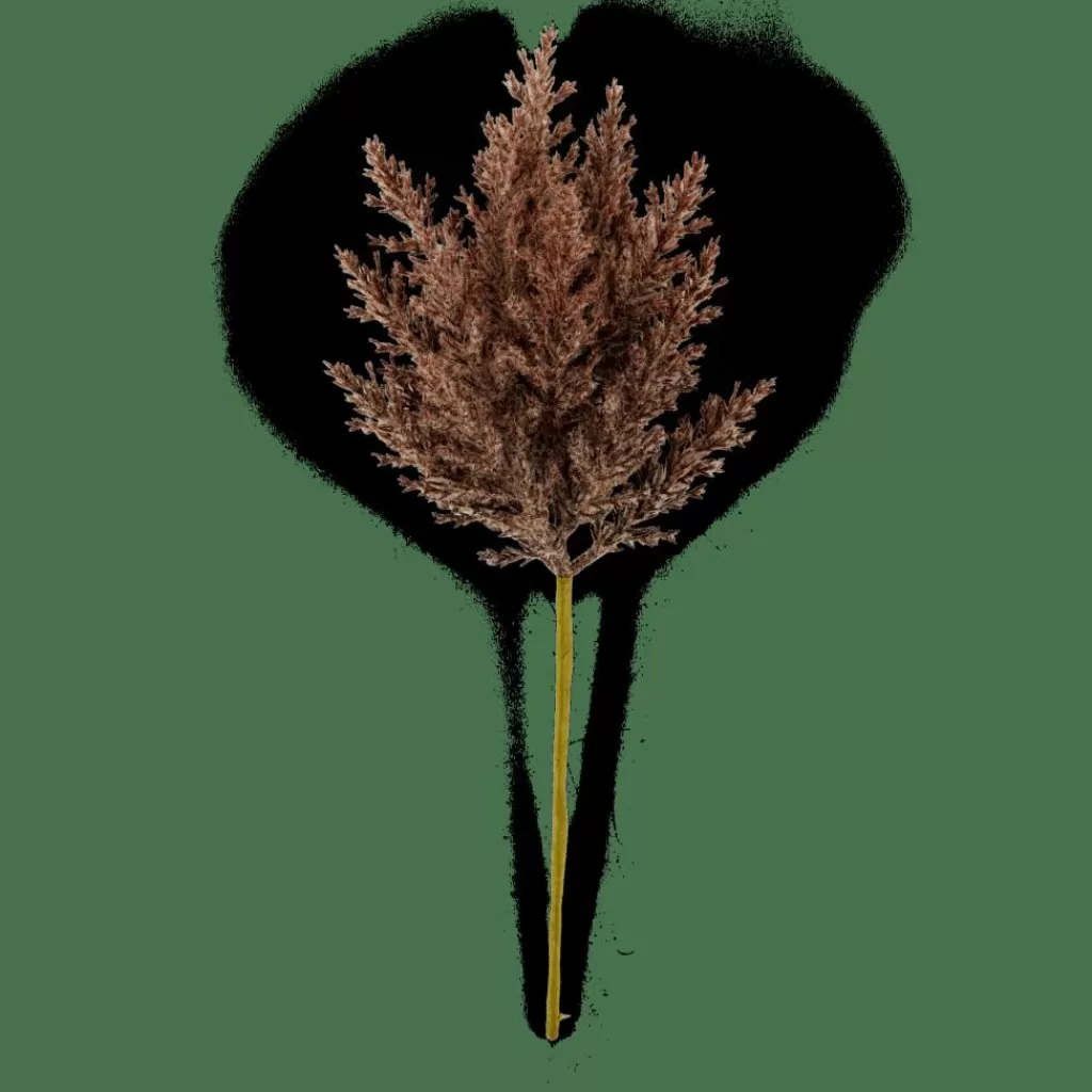 Cheap PLUME Tallo De Pluma Marrón Ramos Artificiales