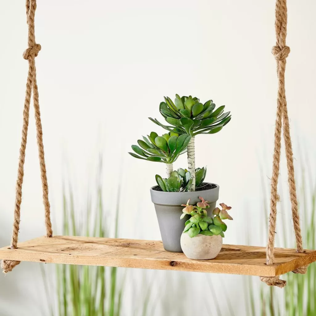 Best RECYCLE Deco Para Colgar Natural Colgadores Para Plantas