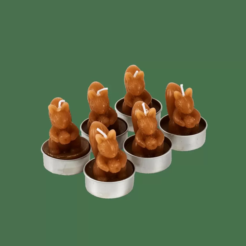 Store SQUIRREL Marrón Soprortes Para Velitas | Otoño