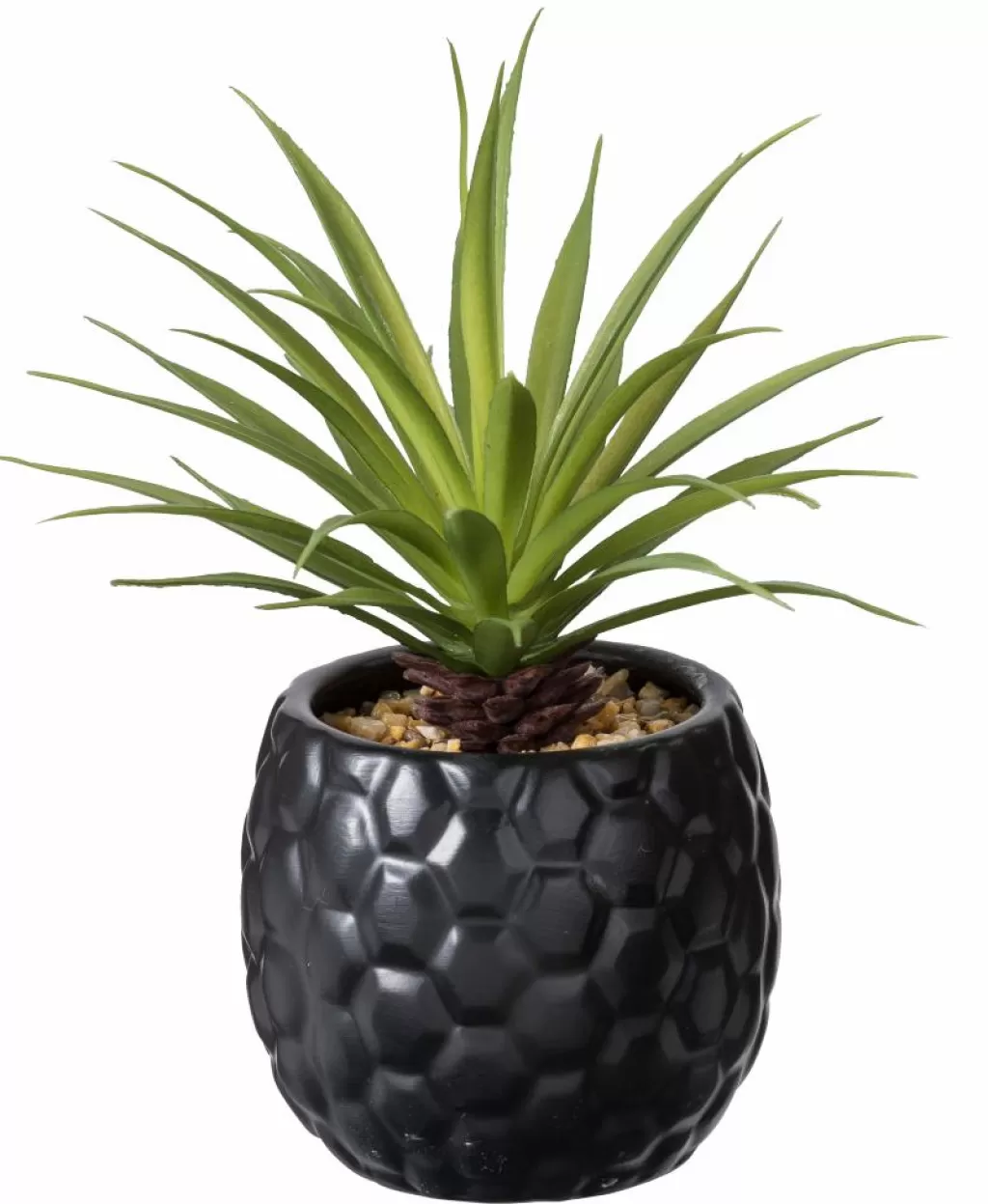 Online STAGGY Decoración Natural Figuras Decorativas