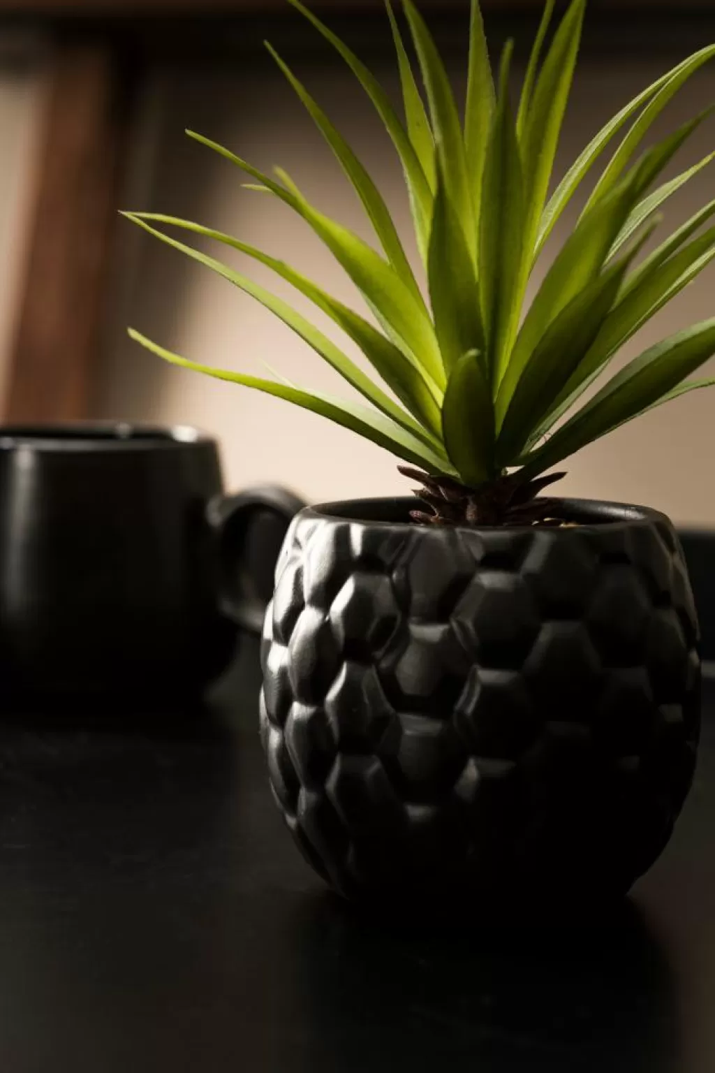 Online STAGGY Decoración Natural Figuras Decorativas