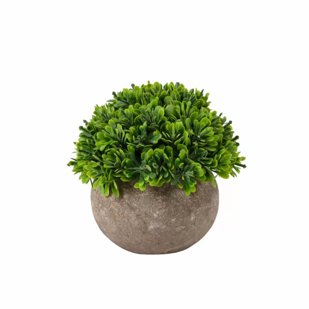 Online STAGGY Decoración Natural Figuras Decorativas