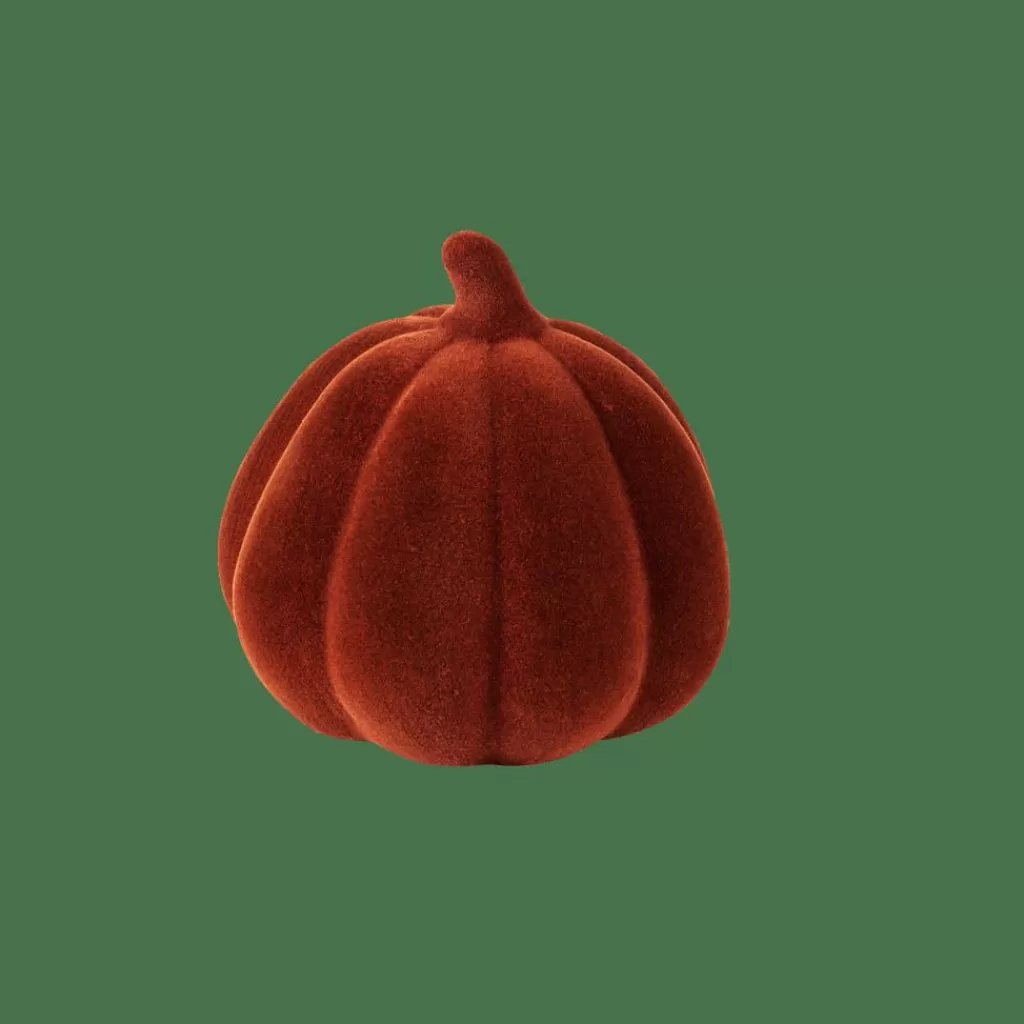 Store VELVET Calabaza Rojo Halloween | Otoño
